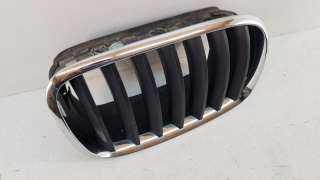 Решетка радиатора BMW X5 E70 2007г. 51137171396 - Фото 2