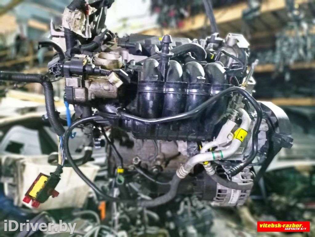 Двигатель  Ford KA 2 1.2  Бензин, 2008г. 169A4000  - Фото 2