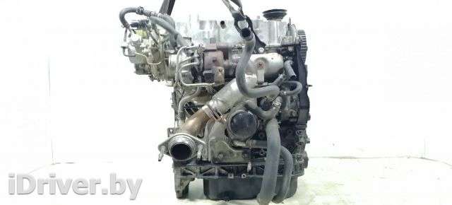 Щуп двигателя Mazda 6 1 2006г.  - Фото 1