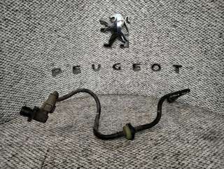  Трубка вакуумного насоса Peugeot 5008 Арт H2487522, вид 1