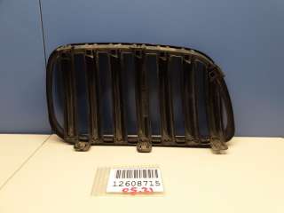 Решетка радиатора левая BMW X3 E83 2003г. 51113420087 - Фото 3