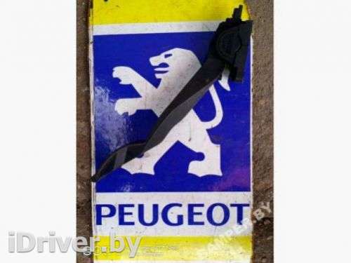 Педаль газа Peugeot 307 2004г. 9643059280, F00C3E2427 - Фото 1