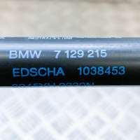 Амортизатор крышки багажника (3-5 двери) BMW 3 E90/E91/E92/E93 2011г. 7129215, 1038453 , art314569 - Фото 6