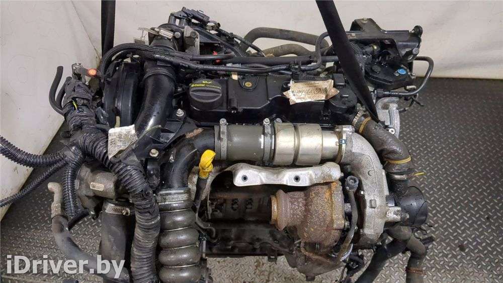 Двигатель  Ford Focus 3 1.6 TDCI Дизель, 2013г. 1733055,AV6Q6006BA,T1DB  - Фото 5