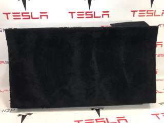 1606535-00-B Полка багажника к Tesla model S Арт 9906451