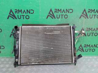 25310M0050, 25310M0 Радиатор двигателя (двс) Hyundai Creta 1 Арт ARM269446, вид 1