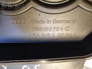 Декоративная крышка двигателя Audi A4 B5 1996г. 058103724c , artLLB4838 - Фото 3