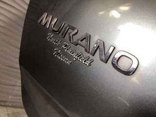 Крышка багажника (дверь 3-5) Nissan Murano Z50 2005г.  - Фото 6