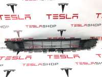 1493759-00-A Заглушка (решетка) в бампер к Tesla model Y Арт 9932736