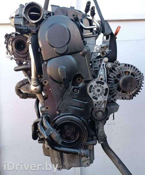 Двигатель  Volkswagen Touran 1 1.9 TDI Дизель, 2009г. BLS  - Фото 1