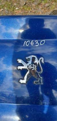  Эмблема к Peugeot 407 Арт 10631