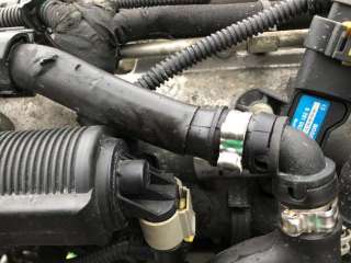 Патрубок вентиляции картера Opel Signum 2006г. 55188213,55196566 - Фото 8