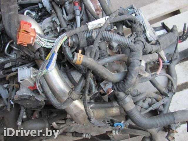 Проводка двигателя Renault Laguna 2 2007г.  - Фото 1
