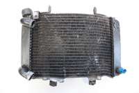  , moto530366 Радиатор (основной) KTM Supermoto Арт moto530366