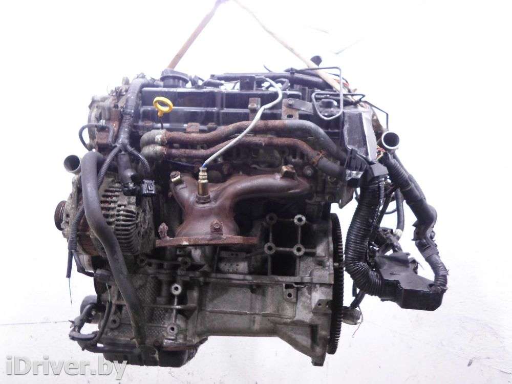 Двигатель  Nissan Murano Z51 3.5  Бензин, 2009г. VQ35DE  - Фото 3