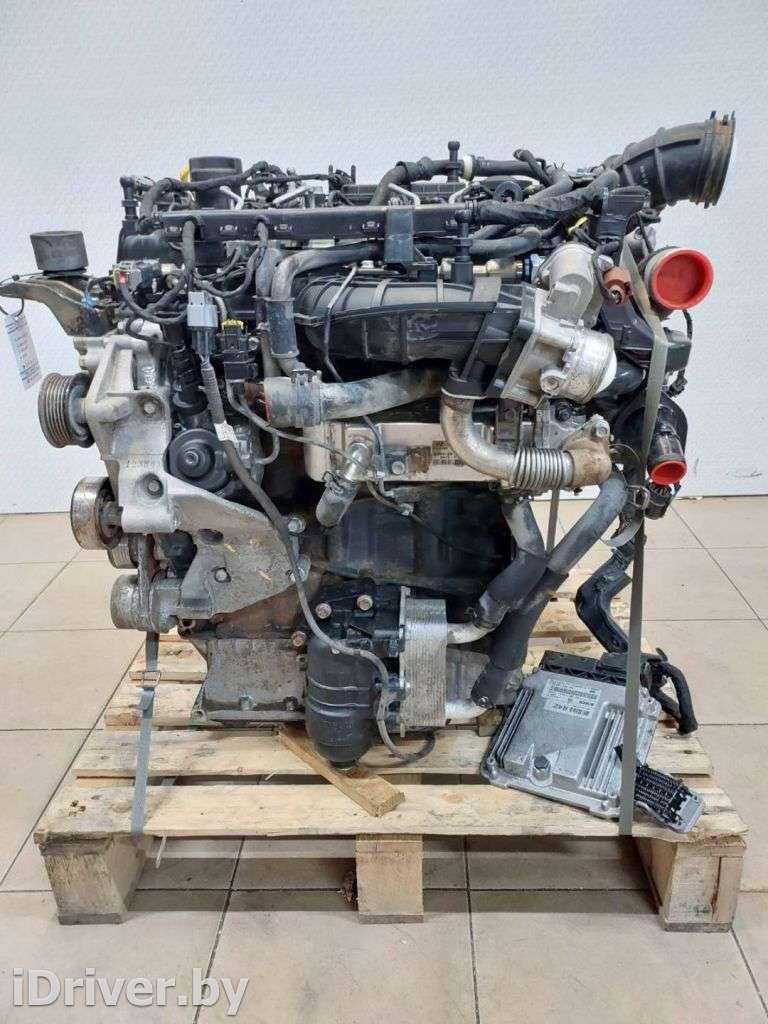 Двигатель  Kia Sorento 3 restailing 2.2  Дизель, 2017г. D4HB  - Фото 2