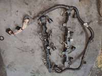 Проводка двигателя BMW 7 F01/F02 2013г. N63B44A - Фото 2