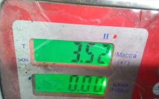 Корпус термостата дизельный Mazda 6 3 2014г.  - Фото 6