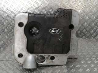  Декоративная крышка двигателя к Hyundai Santa FE 2 (CM) Арт 4636_2000001165076