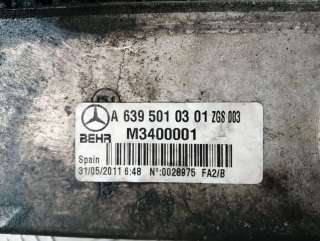 Интеркулер Mercedes Viano 2004г. A6395010301 - Фото 4