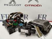 Блок управления двигателем к Citroen C4 Grand Picasso 2 Арт W3515677