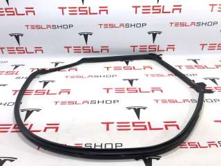 1606734-00-C Уплотнитель Tesla model S Арт 9907853, вид 3