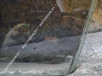Стекло двери задней левой Mercedes C W204 2010г.  - Фото 4