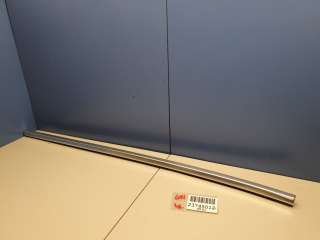 51357410038 Молдинг стекла задней правой двери к BMW X3 G01 Арт ZAP264750