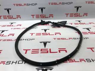 Уплотнитель Tesla model S 2015г. 6009594-00-D - Фото 3