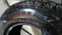 Всесезонная шина Pirelli X-TRAIL T31 225/65 R17 Фото 2