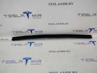 1038407-00 уплотнитель к Tesla model S Арт 13667_1