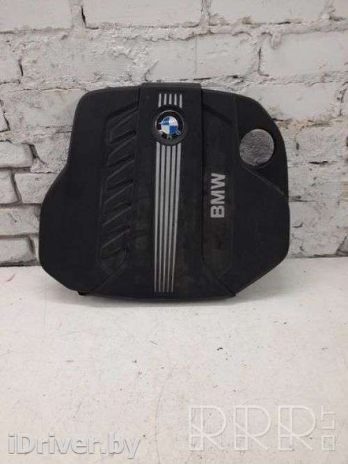 Декоративная крышка двигателя BMW X5 E70 2011г. 7811025, 1371, 02103104105106 , artTAJ5483 - Фото 1