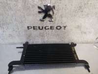  Радиатор топлива к Peugeot 3008 1 Арт H34525187058