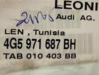 Проводка двери задней левой Audi A6 C7 (S6,RS6) 2016г. 4G5971687BH - Фото 2