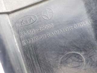 Решетка радиатора Kia Sorento 2  86350-2P000 - Фото 9
