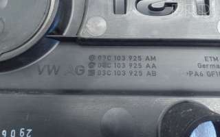 Декоративная крышка двигателя Volkswagen Passat B7 2011г. 03c103925am, , 03c103925aa , artSDD16599 - Фото 4