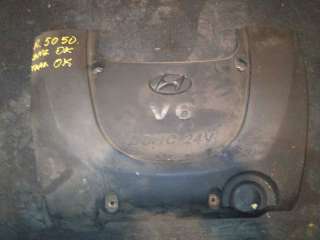  Декоративная крышка двигателя к Hyundai Sonata (EF)  Арт 0000_2505191555924