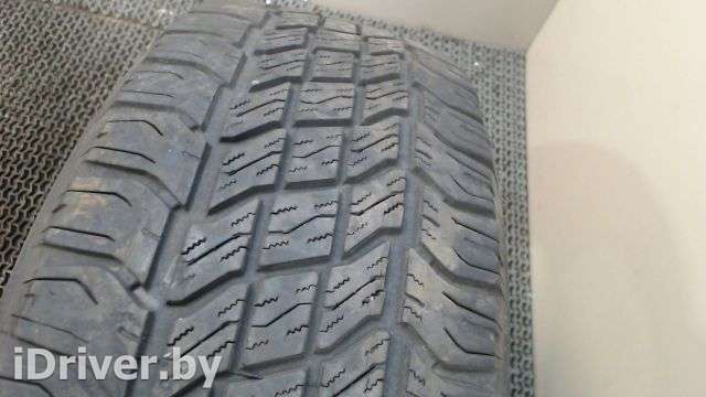 Зимняя шина Pirelli Scorpion S/T 255/65 R16 1 шт. Фото 1