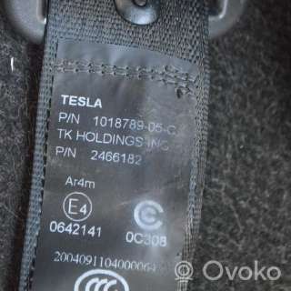 101878905c , artGTV62119 Ремень безопасности Tesla model S Арт GTV62119, вид 4