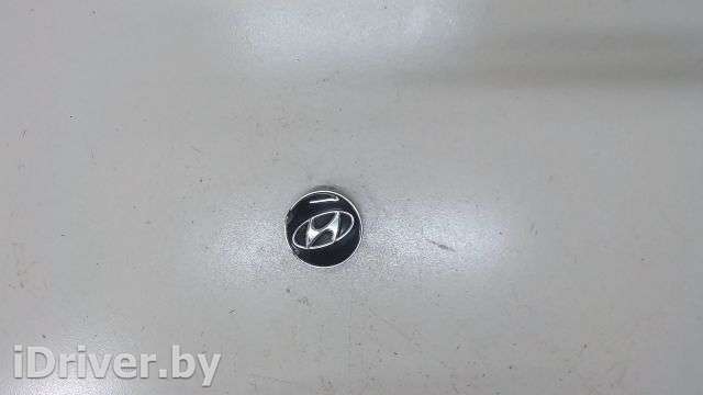 Колпачок литого диска Hyundai Santa FE 3 (DM) 2013г. 529602M000 - Фото 1