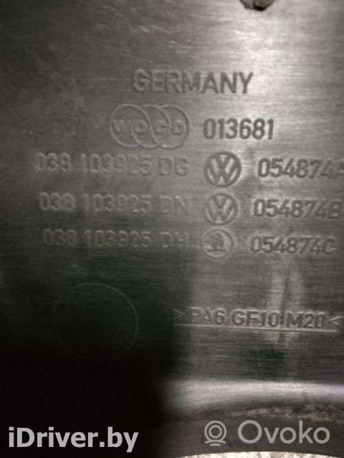 Декоративная крышка двигателя Volkswagen Passat B6 2006г. 038103925dg, 054874a , artEDI17401 - Фото 1