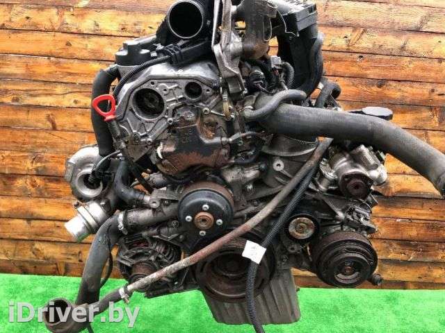 Щуп двигателя масляный Mercedes Sprinter W901-905 2004г.  - Фото 1