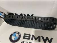 Решетка капота BMW X5 E53 2005г. 51137113731, 7113731, 51137113732, 7113732 - Фото 6