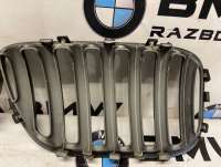 Решетка радиатора BMW X5 E53 2005г.  - Фото 8
