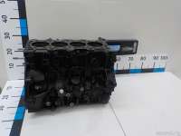  Блок двигателя Renault Scenic 3 Арт E84336110