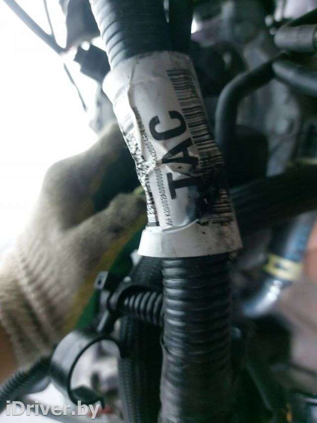 Проводка двигателя Ford Kuga 1 2011г. 8V4T-12A690 - Фото 1