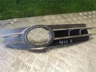  Заглушка (решетка) в бампер к Audi A6 C6 (S6,RS6) Арт 39268