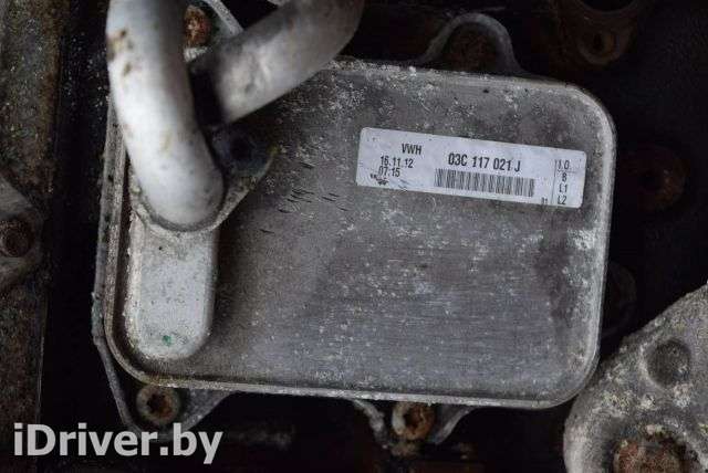 Радиатор масляный Volkswagen Jetta 6 2013г. 03C117021J - Фото 1