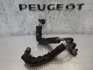  Масляная трубка турбины к Peugeot 5008 Арт H25433043328