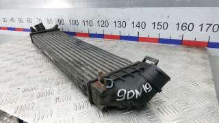  Радиатор интеркулера Ford Mondeo 4 Арт 9DN19KC01_A2472, вид 1